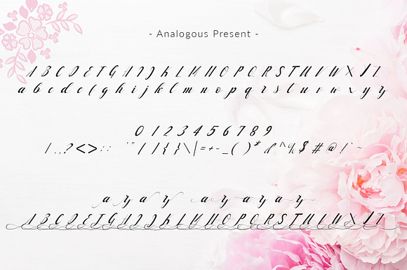 handlove script in Script Fonts - product preview 11