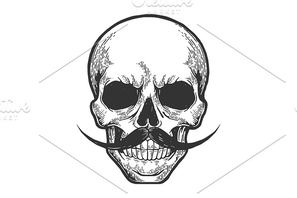 Human skull sketch engraving vector