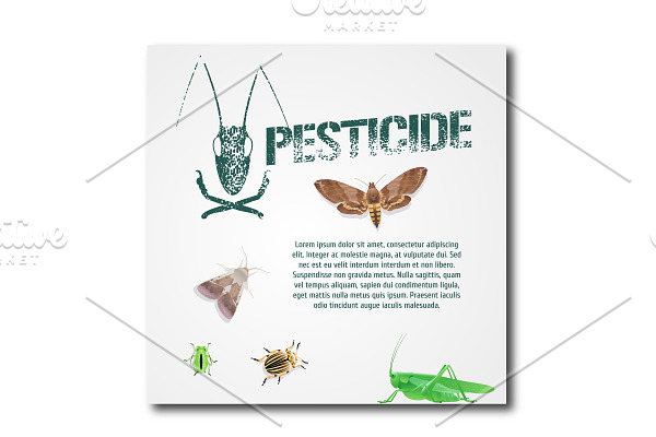 Insects and template bodycopy vector