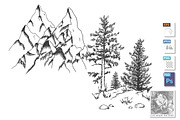 Coniferous tree pine at rock bottom