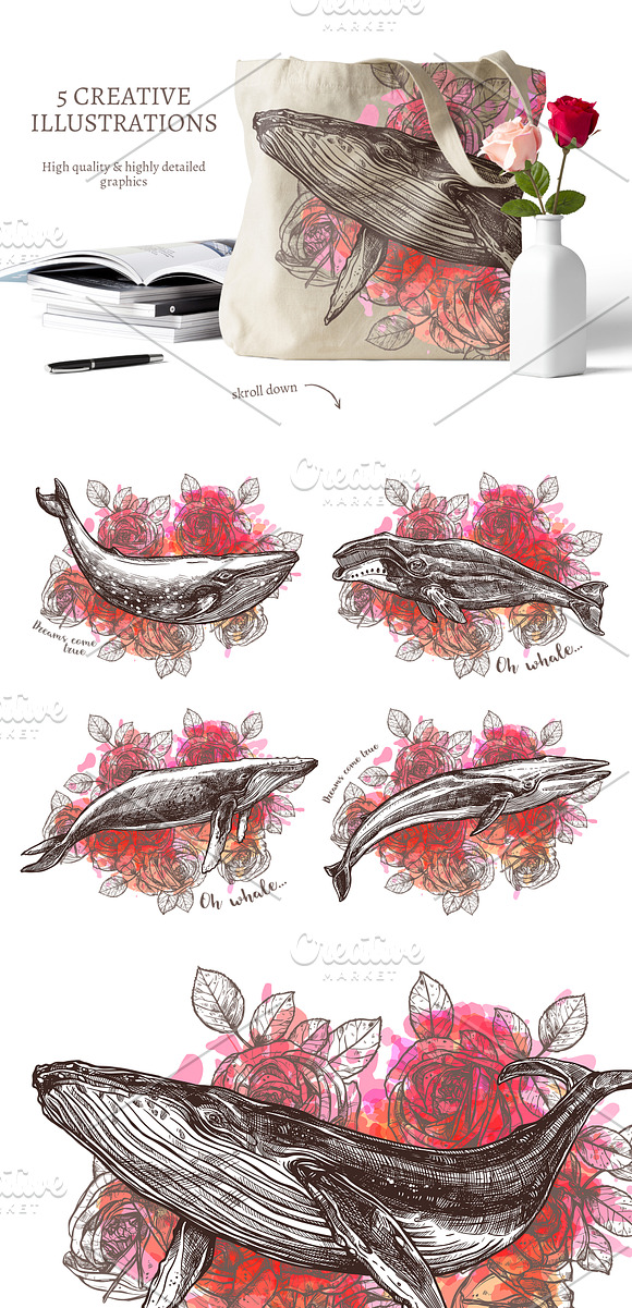 Whales Sketch Illustrations in Illustrations - product preview 3