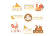 Pollo logo. Chicken illustrations