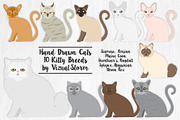 Cat Breed Illustrations