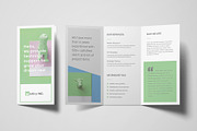 Clean Trifold Brochure