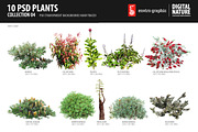 10 PSD Plants Collection 4