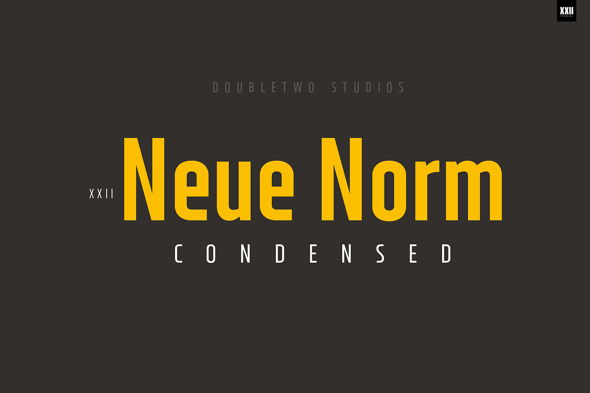 XXII Neue Norm Cnd in Sans-Serif Fonts - product preview 8