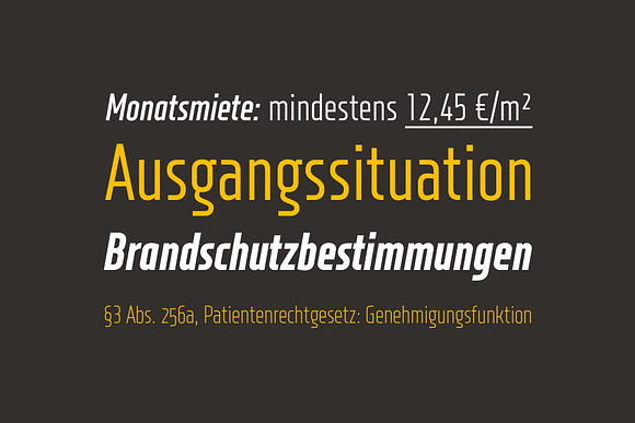 XXII Neue Norm Cnd in Sans-Serif Fonts - product preview 5