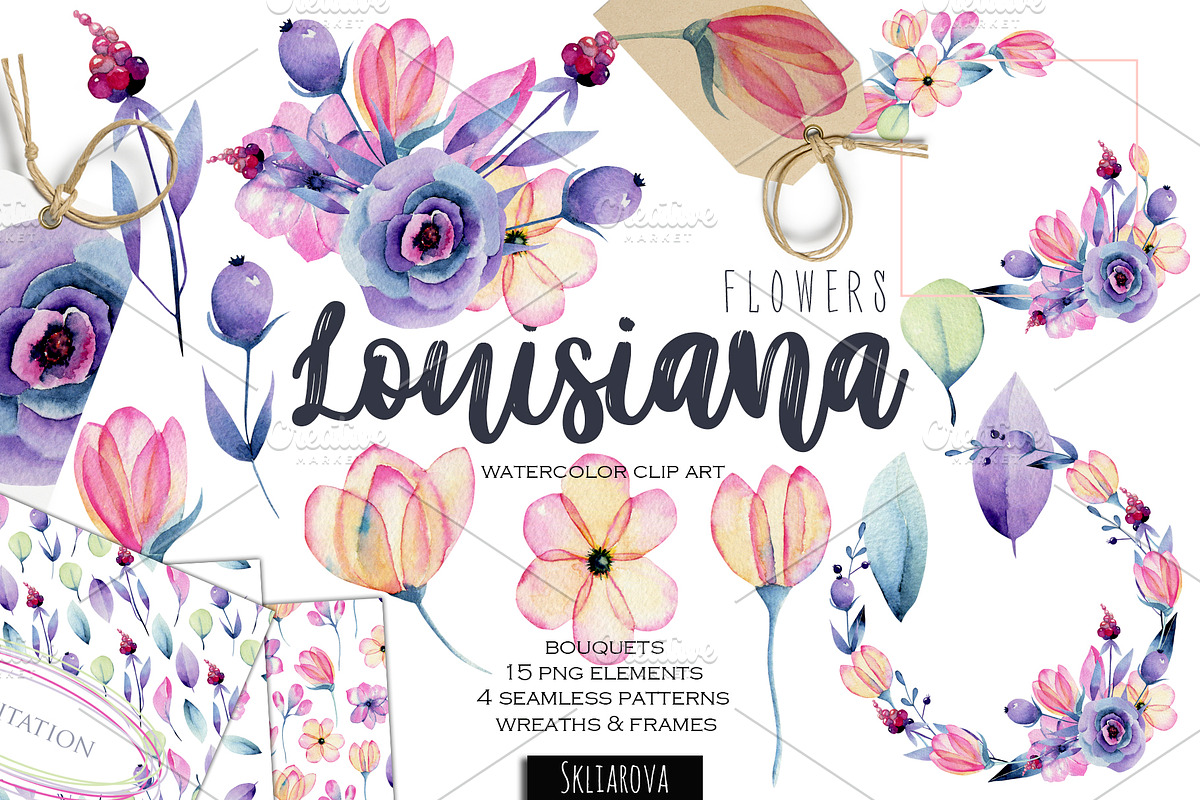 Louisiana flowers. in Illustrations - product preview 8