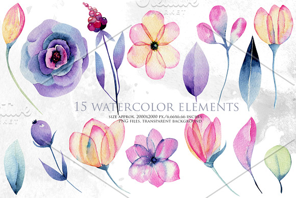 Louisiana flowers. in Illustrations - product preview 1