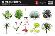 10 PSD Succulents Collection 3