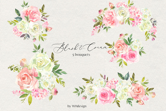 Blush & Cream Watercolor Floral Set in Illustrations - product preview 1
