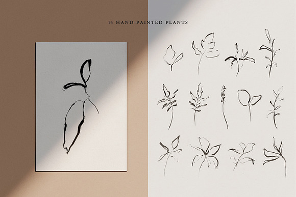 Abstract Botanical Illustrations in Illustrations - product preview 5