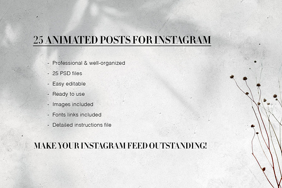 Classy Animated Instagram Posts in Instagram Templates - product preview 14