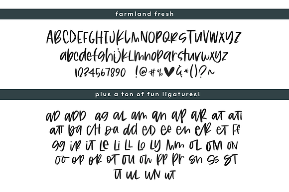 Farmland Fresh Duo and Doodles Font in Script Fonts - product preview 15