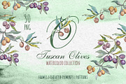 Tuscan Olives green Watercolor png