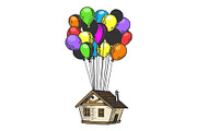 House flying on balloons color