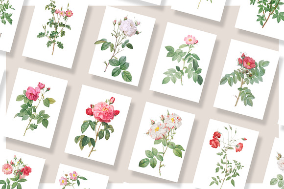 Colorful Flowers - Grapics Bundle in Objects - product preview 5