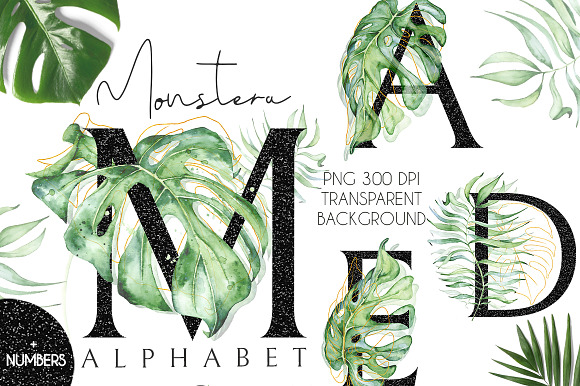 Monstera watercolor Black alphabet in Objects - product preview 3