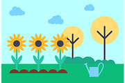 Field with Growing Sunflowers Vector