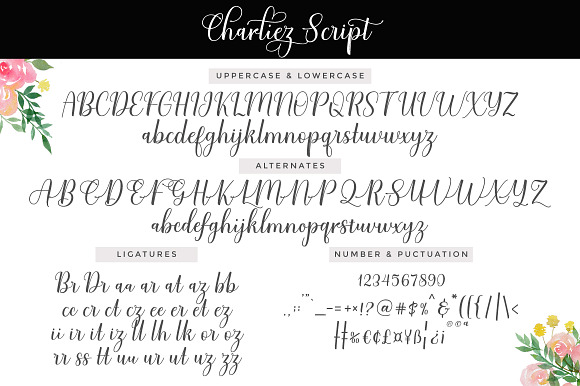 Charliez Script | Reguler & Italic in Script Fonts - product preview 8