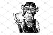 Monkey read book engraving