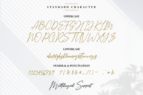 Amostely Signature Font in Script Fonts - product preview 7