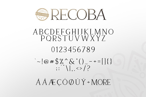 Recoba Font Family in Serif Fonts - product preview 5