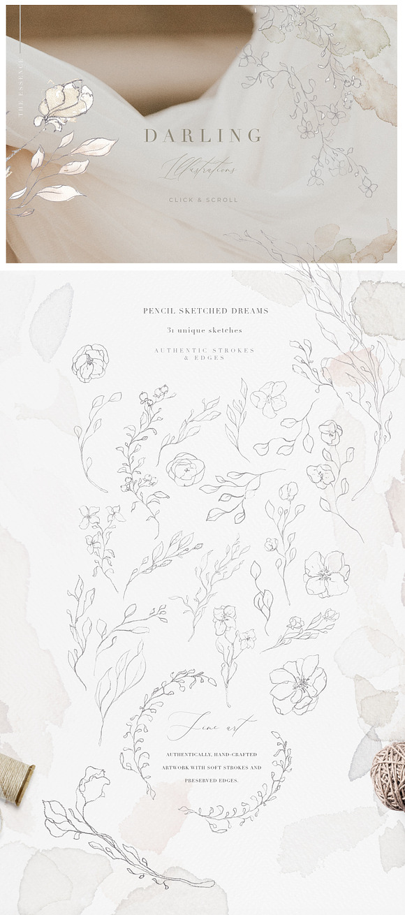 Modern Minimalist Floral Sketches in Illustrations - product preview 2