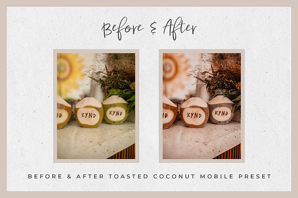 Toasty Lightroom Mobile Presets in Add-Ons - product preview 18