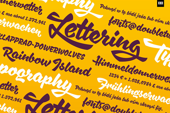 XXII Awesome Script in Script Fonts - product preview 6