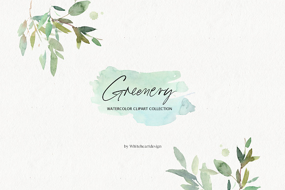 Greenery Watercolor Leaves Clipart in Illustrations - product preview 9