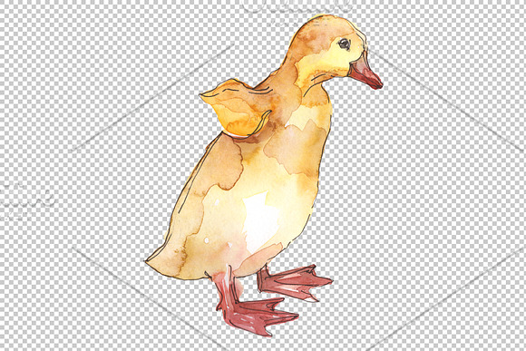 Farm animals: ducklings Watercolor in Illustrations - product preview 1
