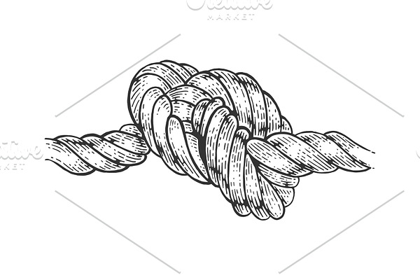 Marine knot sketch engraving vector