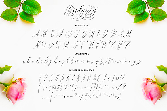 Bridgesty - Lovely Calligraphy Font in Script Fonts - product preview 8