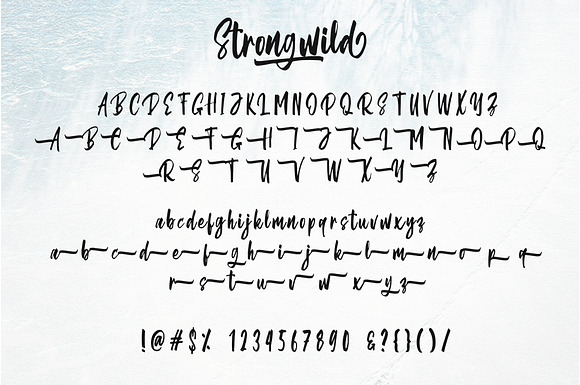 Strongwild | Handwritten Brush Font in Script Fonts - product preview 1