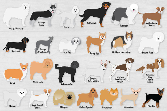 Dog Breed Clipart Bundle - Revised! in Illustrations - product preview 2