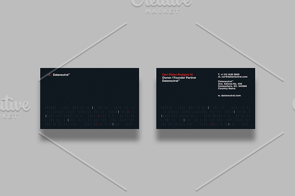 Business cards template: Dataneutral