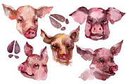 Farm animals: pig head Watercolor pn