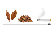 Dry tobacco leaves with cigarette.