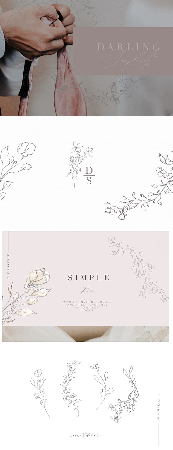Modern Minimalist Floral Sketches in Illustrations - product preview 5