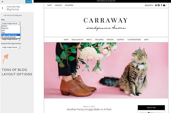 The Carraway Theme in WordPress Blog Themes - product preview 1