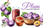 Plum. Watercolor collection