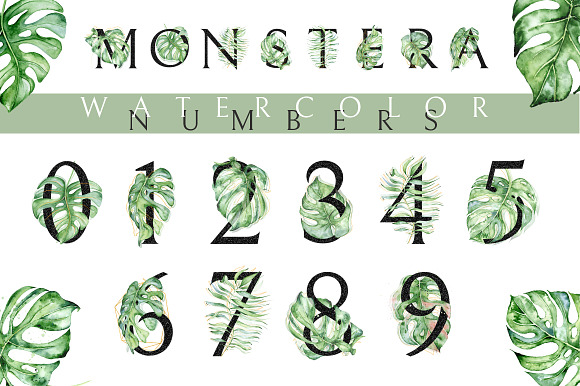 Monstera watercolor Black alphabet in Objects - product preview 4