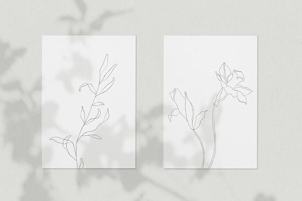 Minimalist Botanical Line Sketches