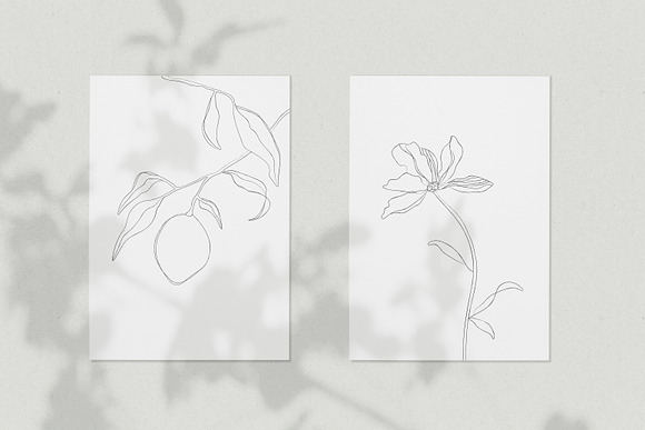 Minimalist Botanical Line Sketches in Illustrations - product preview 1