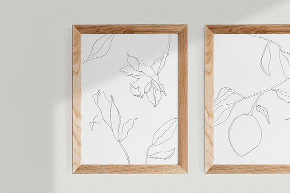 Minimalist Botanical Line Sketches in Illustrations - product preview 3