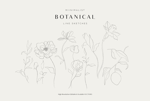 Minimalist Botanical Line Sketches in Illustrations - product preview 4