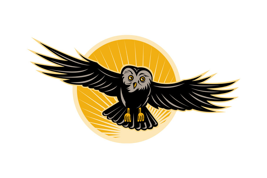 Owl Flying Swooping Front Sunburst
