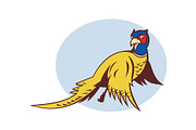 Cartoon Pheasant bird flying