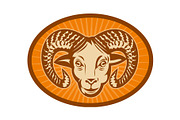 Bighorn sheep or ram